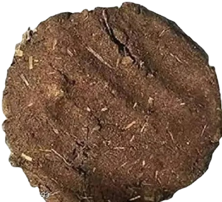 Cow Dung Cakes